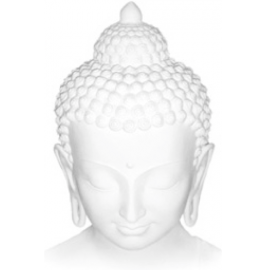 dbd450_34e122321b0740c4bc78d5ff2bb6fca4