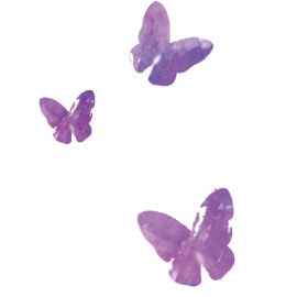 dbd450_ab1d14f78014455492f3224ca01dbb52